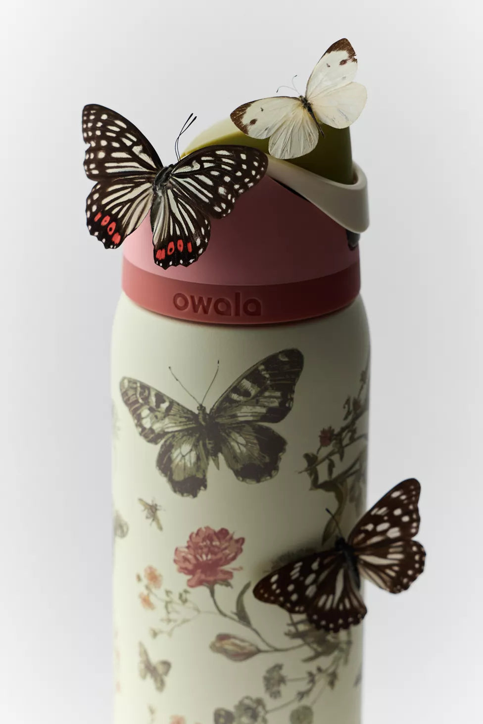 Freesip 32oz Boho Butterfly - Preventa